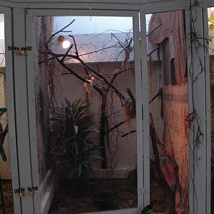 Blackburn Pavillion - Hummingbird enclosures.