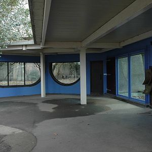 Cat Terrace paint job.