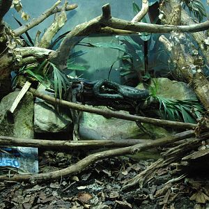 Diamond Python Enclosure