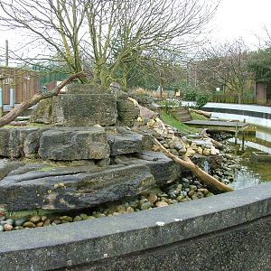 Otter enclosure at Blackpool 26/03/10