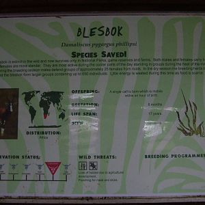 Signage example at Blackpool 26/03/10