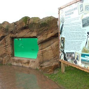 Penguin pool at Blackpool 26/03/10