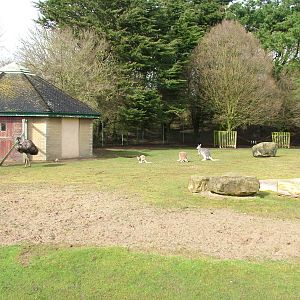 Australian paddock at Blackpool 26/03/10