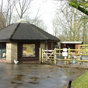 Animals from A-Z at Blackpool 26/03/10