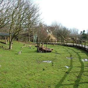Lemur walkthrough at Blackpool 26/03/10