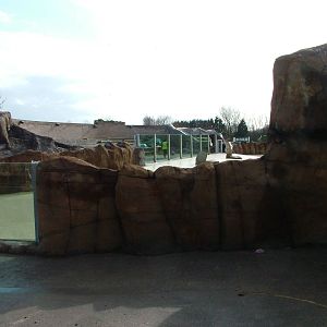 Sea lion pool at Blackpool 26/03/10