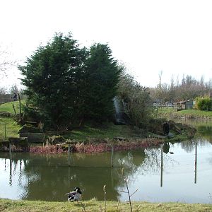 Gorilla Mountain at Blackpool 26/03/10