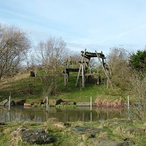 Gorilla Mountain at Blackpool 26/03/10