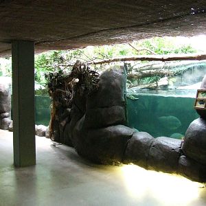 Amazon-region, Oceanium