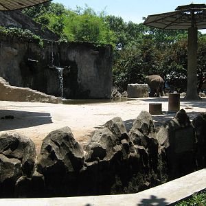 elephant enclosure