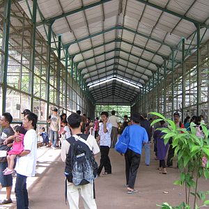 central visitor walk in one of the aviary houses