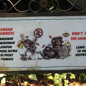 don't feed the animals