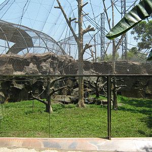 Heck's macaque enclosure, Schmutzer Primate Centre