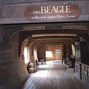 The Beagle, Galapagos, Oceanium