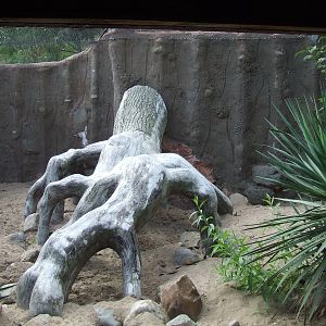 Swift Fox outdoor enclosure, Oceanium