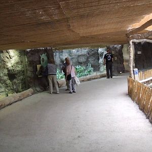 Sea of Cortez, Oceanium