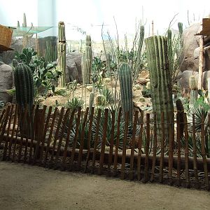 Sea of Cortez, Oceanium