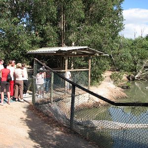 Cairns Crocodile Farm 2007 - Breeding enclosure