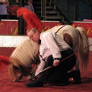 Lennon Bros Circus 2007 - Pony act