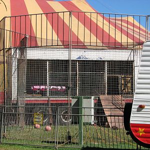 Lennon Bros Circus 2007 - Lion fence and transport truck