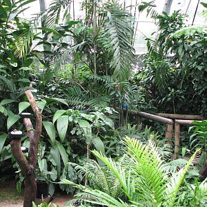 Australian Butterfly Sanctuary 2007 - Inside the sanctuary