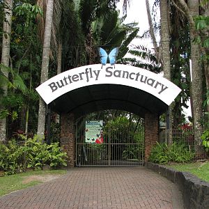 Australian Butterfly Sanctuary 2007 - Entrance gate to the sanctuary