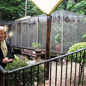 Kuranda Bat Reach 2007 - Pam with her pride and joy
