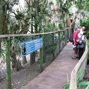 Birdworld Kuranda 2007 - Pathway in front of the Cassowary enclosure
