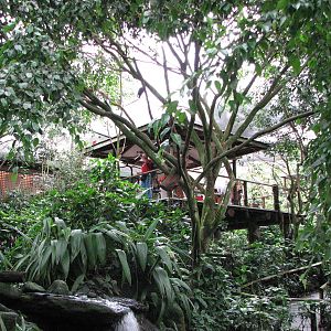 Birdworld Kuranda 2007 - Feeding platform from the Cassowary enclosure