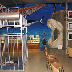 Rodney Fox Shark Experience Museum 2008 - Inside the museum