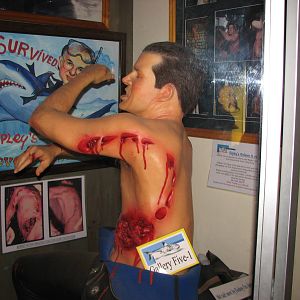 Rodney Fox Shark Experience Museum 2008 - Inside the museum