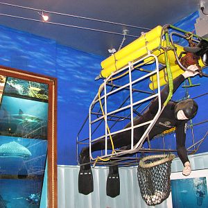 Rodney Fox Shark Experience Museum 2008 - Inside the museum