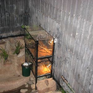 Kuranda Venom Zoo 2007 - Snake exhibits