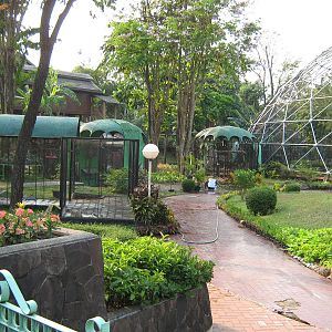 aviaries at the Bird Park