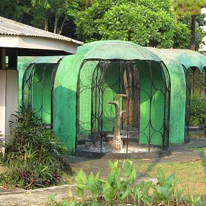 aviaries at the Bird Park