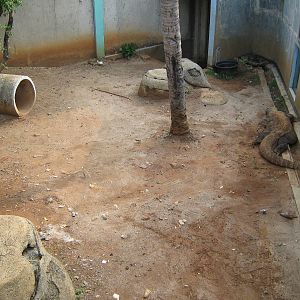 Komodo dragon enclosure at the Reptile Park