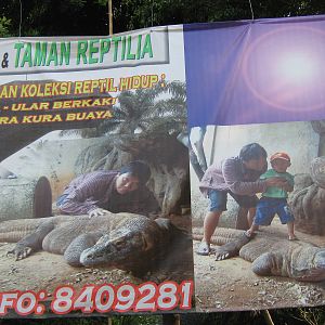 want to feed your kids to the dragon?