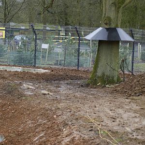 Wolverine enclosure (a work still in progress)