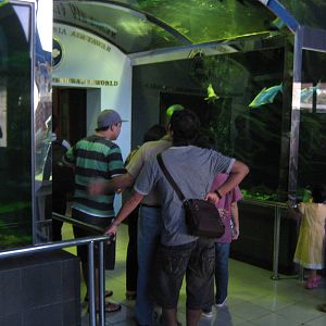 entrance to the Aquarium
