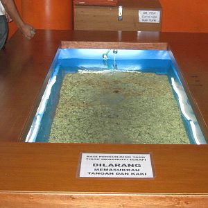 foot spa with live fish