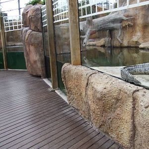 Nile Crocodile exhibit, Crocodile River