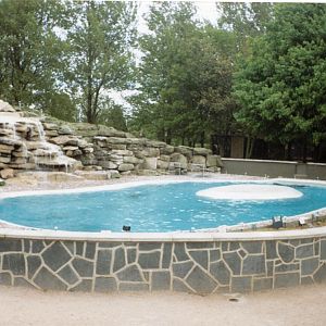 Twycross Zoo - Pinnipeds - sea lion pool