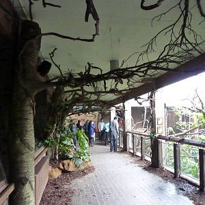 Walkway in the Clore