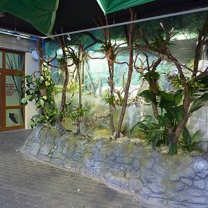 Leafcutter ant enclosure