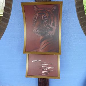 Tiger signs