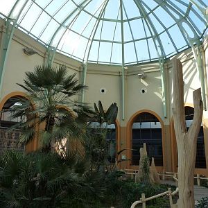 Inside Antelope House