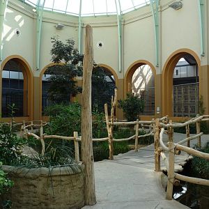 Inside Antelope House