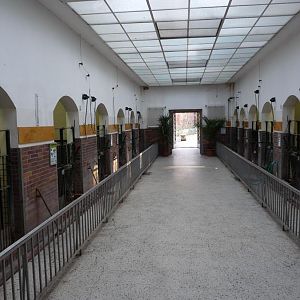 Inside the Pig House