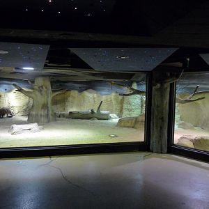 Africa Exhibit in the Nighthouse