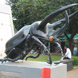 beetle statue outside the Insectarium
